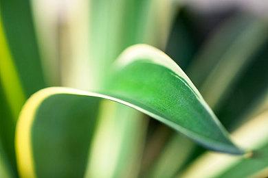 《星际裂变》实机演示视频 展现游戏里星球的美妙之处